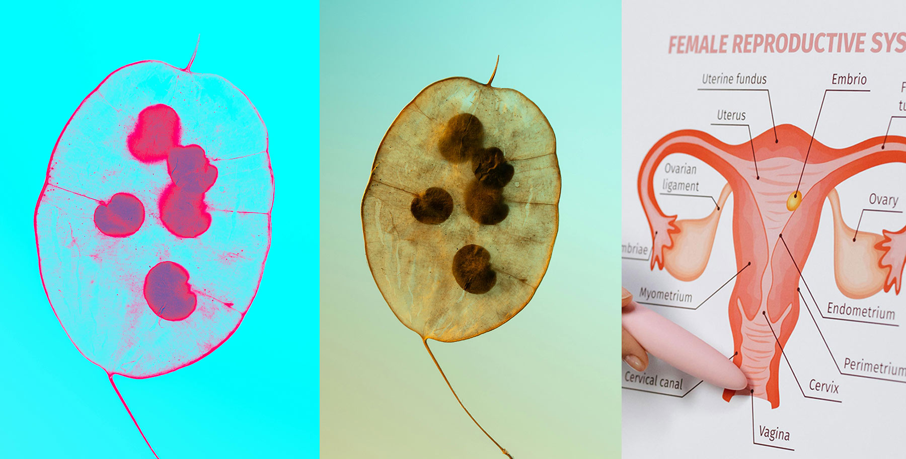 private-menopause-doctor-birmingham